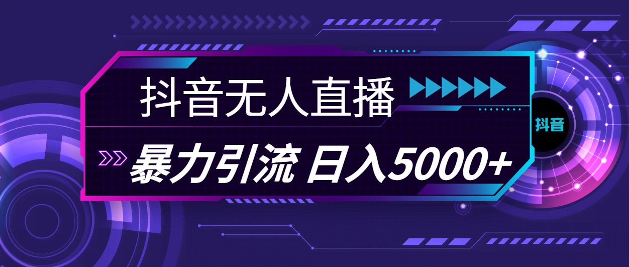 抖音无人直播，轻松引流赚钱，每天多赚5000+-安索博客网
