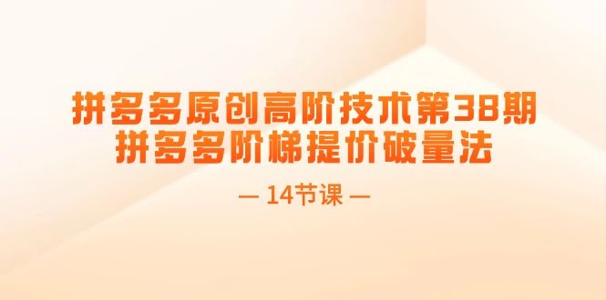 (11704期)拼多多高阶技术第38期：手把手教你阶梯提价破销量（14节视频课）-安索博客网