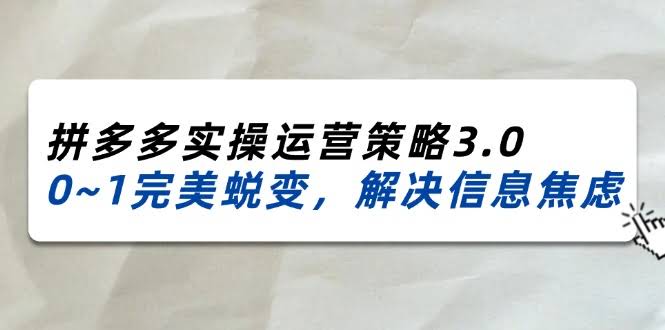 2024-2025拼多多实战运营秘籍3.0，从0到1完美蜕变，告别信息焦虑（38节）-安索博客网