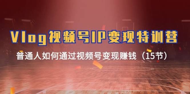(11654期) Vlog 视频号IP变现特训营，普通人怎么靠视频号赚钱（15节）-安索博客网