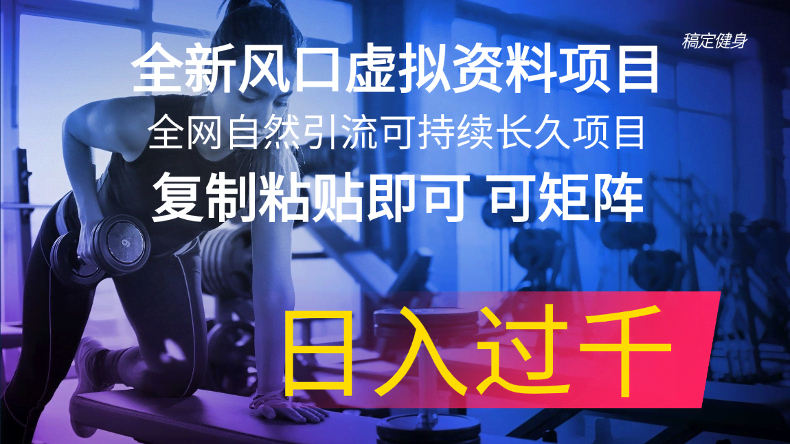 （11587期）新风口来了！虚拟资料赚钱项目，不用自己动脑，复制粘贴就能干-安索博客网