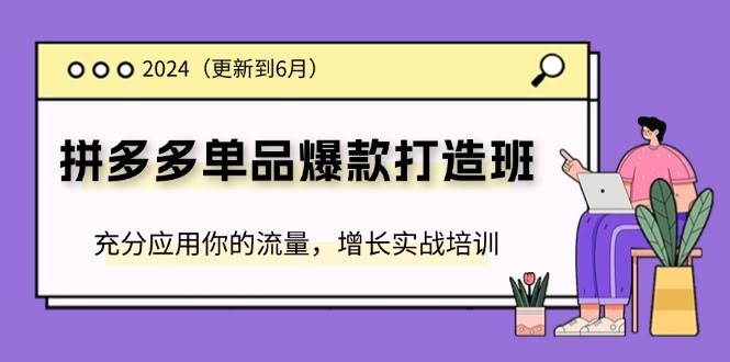 2024拼多多爆款单品打造班（6月更新版）——手把手教你用流量赚到钱，实打实的增长课-安索博客网
