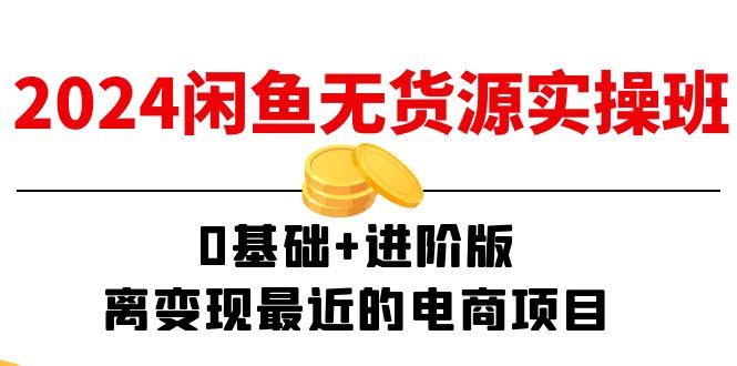 （11535期）2024闲鱼无货源实操班：0基础也能上手，离赚钱最近的电商项目（15节）-安索博客网