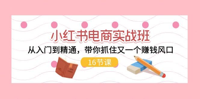 小红书电商实战班，手把手带你从0到1，抓住下一个赚钱风口（16节课）-安索博客网