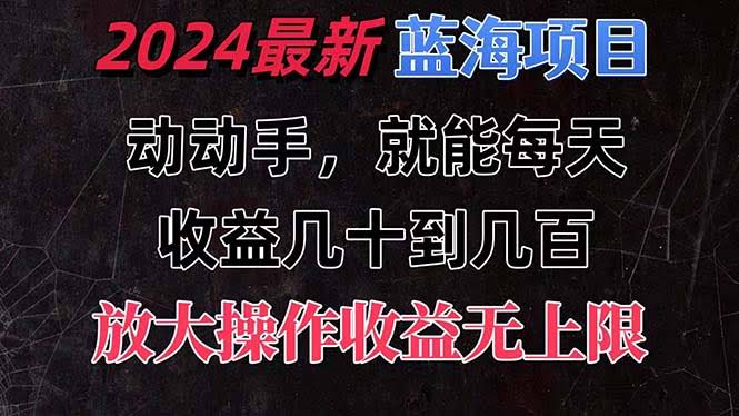 （11470期）2024超简单蓝海新项目，每天抽1小时赚几十到几百，还能放大搞！-安索博客网