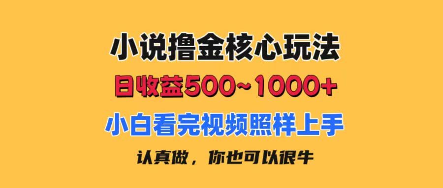 （11461期）小说赚钱核心玩法，一天赚500-1000+，小白也能轻松上手，零成本有手就行-安索博客网