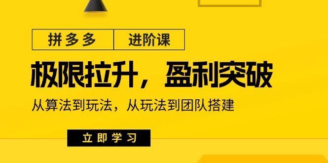 （11435期）拼多多·进阶课：极限拉升/盈利突破：从算法到玩法 从玩法到团队搭建-18节-安索博客网
