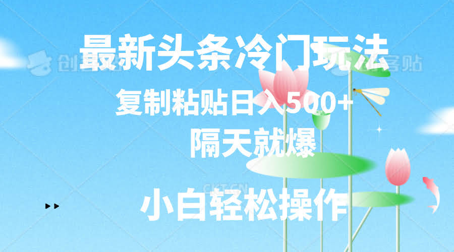 最新头条冷门玩法，隔天就爆，复制粘贴日入500+-安索博客网