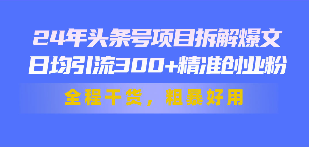（11397期）24年头条号爆文拆解，每天引流300+精准创业粉，粗暴好用，全是干货-安索博客网