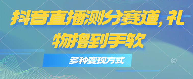 抖音直播测分赛道，玩法超简单，日入1000+不是梦-安索博客网