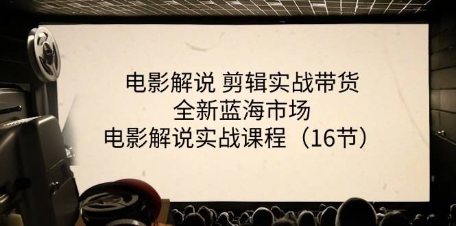 （11367期）电影解说 剪辑实战带货全新蓝海市场，电影解说实战课程（16节）-安索博客网
