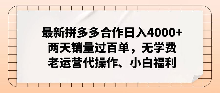 拼多多新玩法，日赚4000+，两天爆单上百单！不花一分钱学费，老司机带你飞-安索博客网