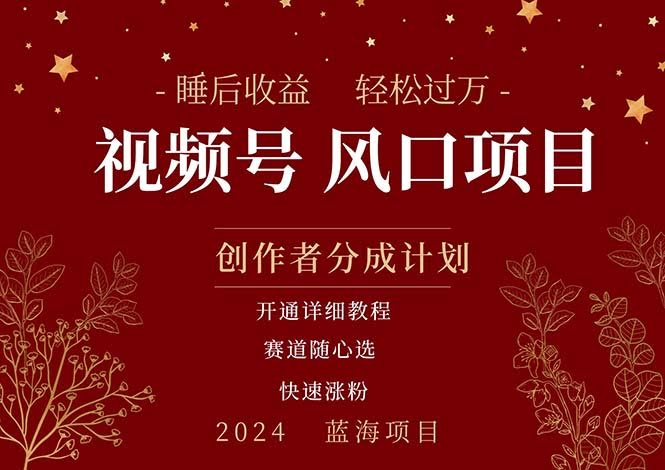 睡觉也能赚钱？微信视频号这个风口项目，月入过万不是梦！-安索博客网