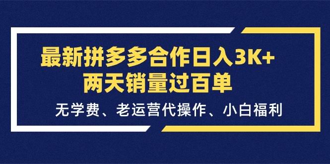 最新拼多多合作玩法，日赚3000+，两天销量破百单！零学费、老运营代管、小白也能躺赚-安索博客网