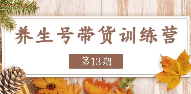 （11275期）养生号带货训练营【第13期】稳定赚钱的新玩法，让你的带货收益翻倍-安索博客网