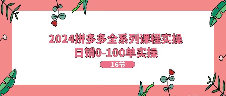 2024拼多多实战课程，手把手教你从0做到日销100单【16节】-安索博客网