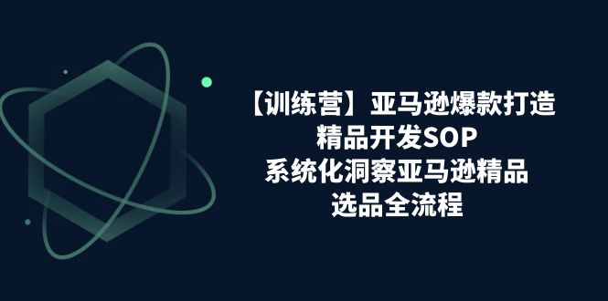亚马逊爆款打造实战训练营：手把手教你精品开发的全套流程-安索博客网