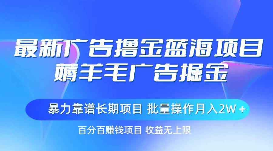 最新广告薅羊毛项目，轻松月入2W+！-安索博客网