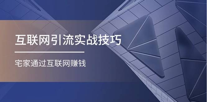 互联网引流实操技巧（适合微商、宝妈）：宅家也能赚钱的17节课程-安索博客网