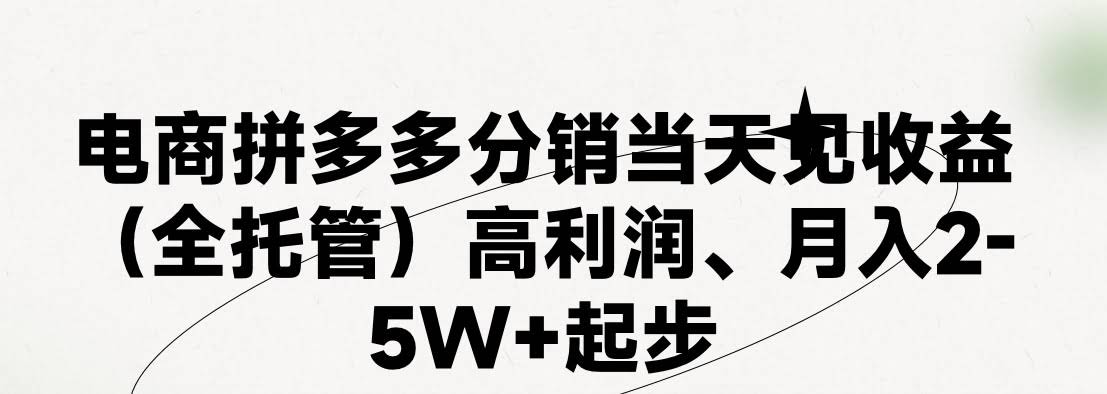 最新拼多多玩法揭秘：日赚4000+，两天销量破百单，0学费老运营帮你带，小白也能躺赚-安索博客网