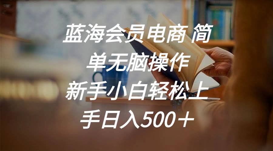蓝海会员电商 超简单零门槛 小白也能轻松搞钱 日赚500+-安索博客网