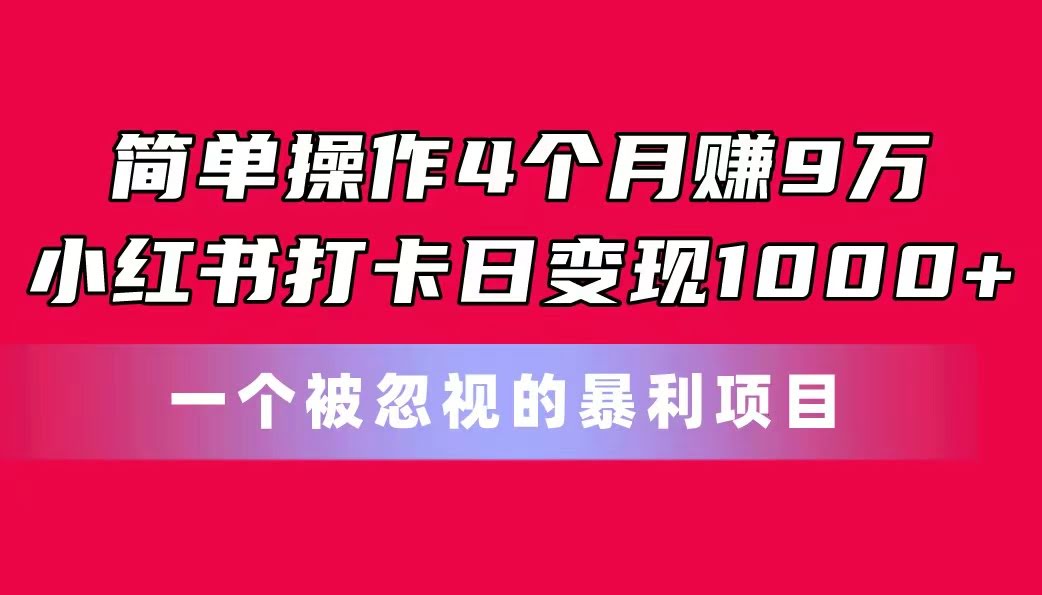 （11048期）简单操作4个月赚9万！小红书打卡日变现1000+！一个被忽视的暴力项目-安索博客网