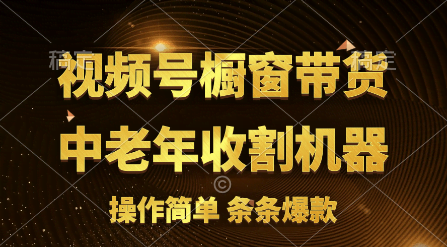 你家娃成功上位啦！视频号最火玩法：橱窗带货+流量分成，条条都是原创爆款-安索博客网