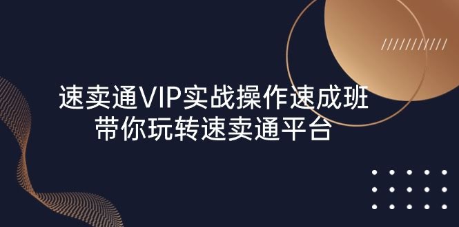 （10935期）速卖通VIP实战速成班，23节课带你玩转速卖通-安索博客网
