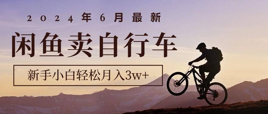 2024年6月最新闲鱼卖自行车，新手小白也能轻松月入3w+-安索博客网
