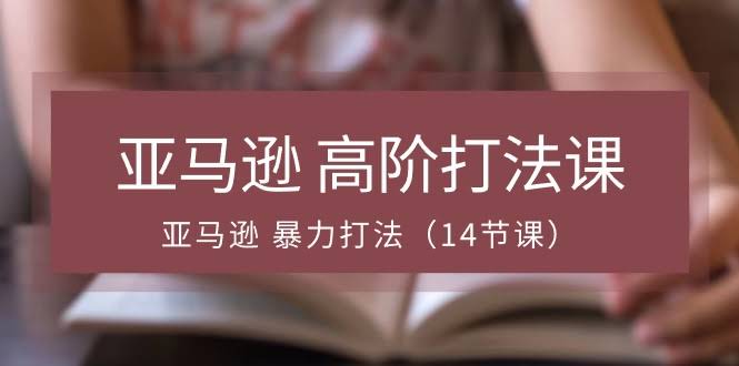 （10870期）亚马逊高阶打法课，暴力打法（14节课）-安索博客网