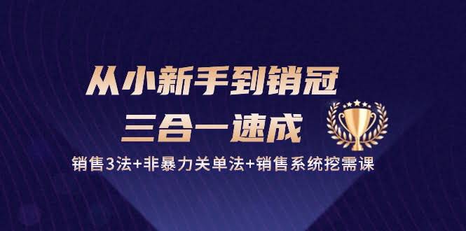 （10799期）从小白到销冠，三合一速成：销售3招+不伤感情关单法+挖需求系统课（27节）-安索博客网