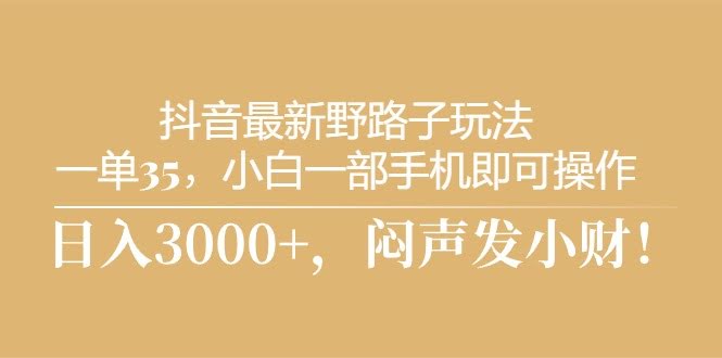 抖音新玩法，一单赚35，手机就能干，日入3000+-安索博客网