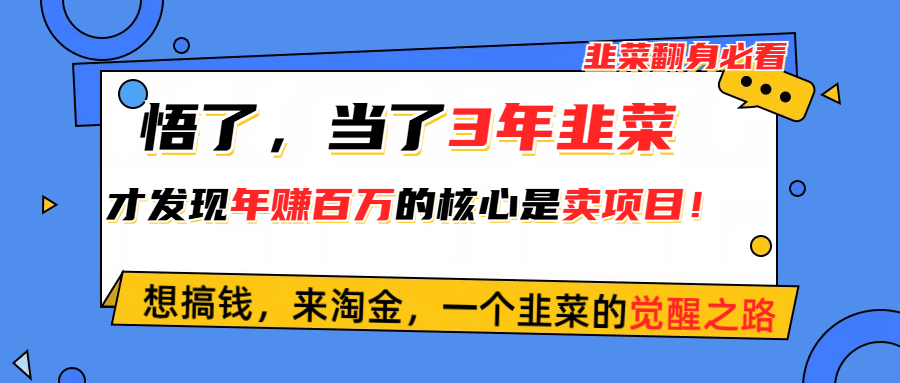 终于搞懂了！当了3年韭菜，才发现网赚圈年赚100万的秘密就是卖项目，哭着也要分享！-安索博客网
