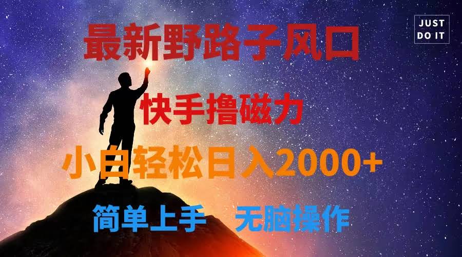 最新赚钱路子！快手撸磁力，小白也能轻松日入2000+-安索博客网