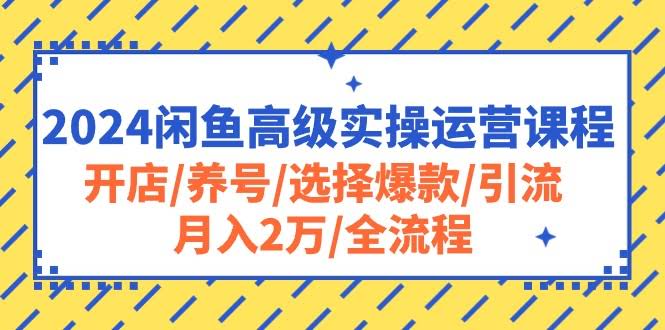 2024闲鱼赚钱全攻略：从开店到月入2万，手把手教你玩转闲鱼-安索博客网