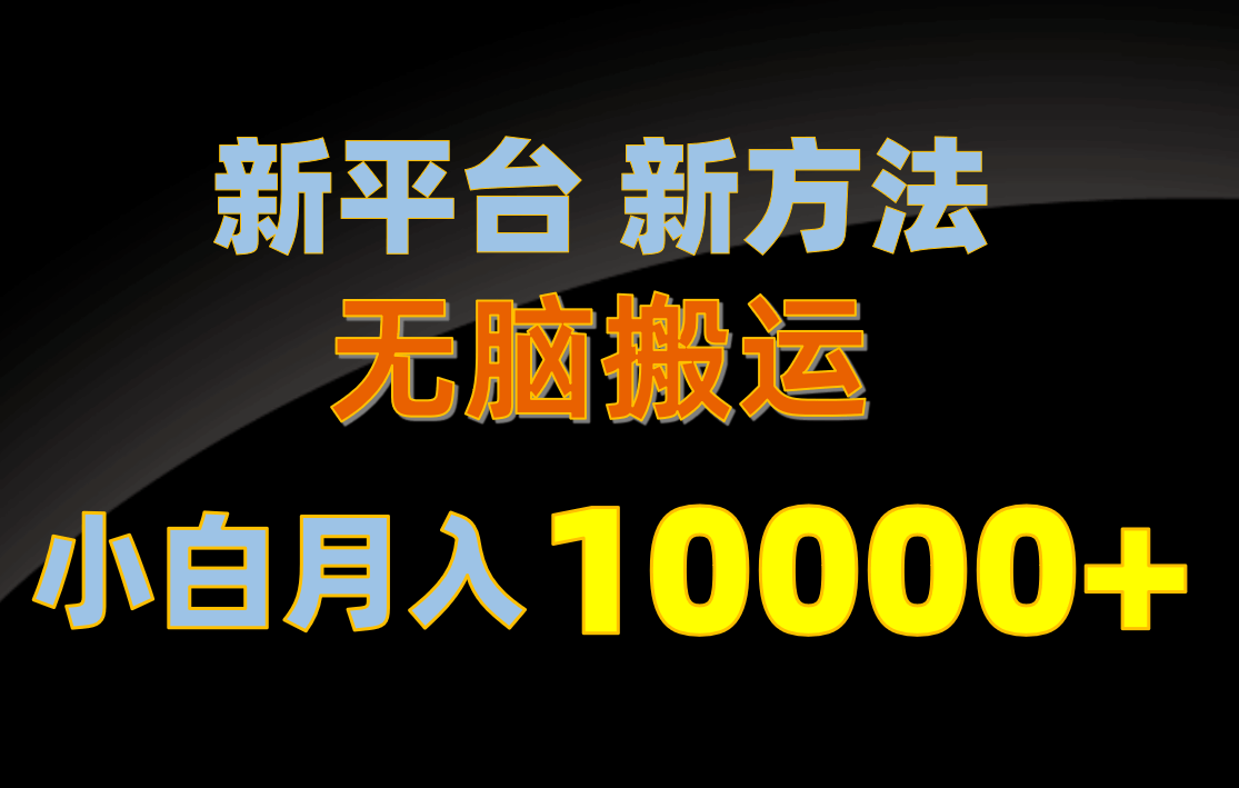 （10605期）新平台新玩法，简单搬运，轻松月入过万，小白也能上手不费脑-安索博客网
