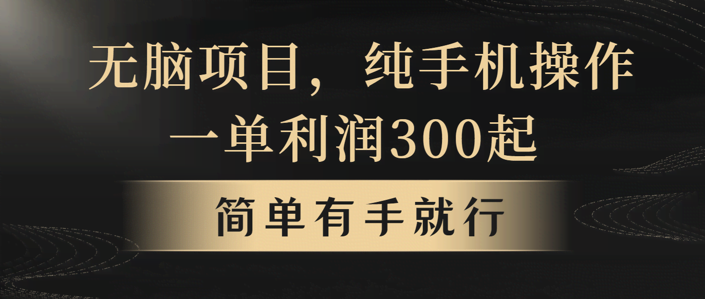 无脑也能赚！一单几百块，月入5万+，看完就能上手-安索博客网