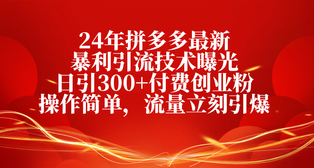 （10559期）24年拼多多最新暴利引流技术曝光，日引300+付费创业粉，操作简单，流量…-安索博客网