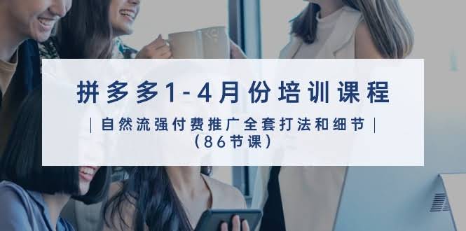 拼多多1-4月培训课程，自然流和强付费推广全攻略（86节课）-安索博客网