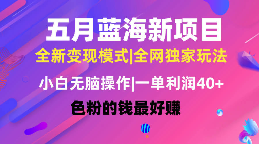 五月新玩法！蓝海项目，小白也能轻松上手，每天几分钟，收入4万+-安索博客网