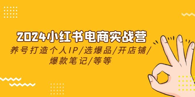 2024小红书电商实战营，手把手教你养号、选爆品、开店、写爆款笔记（24节课）-安索博客网