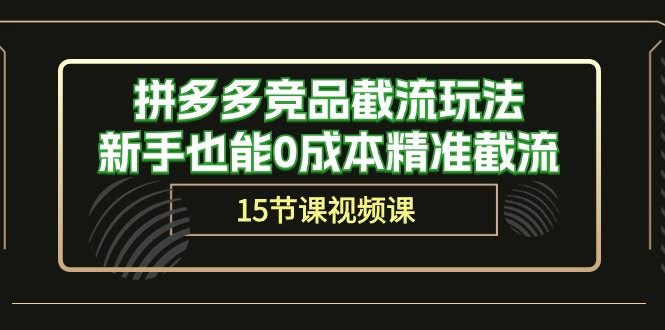 （10301期）拼多多竞品截流玩法，新手也能0成本精准截流（15节课）-安索博客网