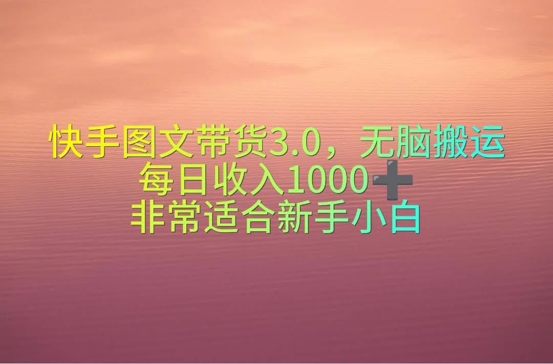 快手图文带货3.0，轻松搬图，一天赚1000+，小白也能玩转-安索博客网