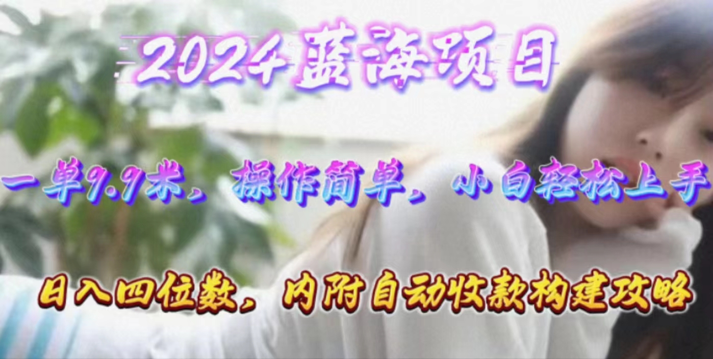 年轻人都爱玩的“找搭子”项目，一单9.9元，操作简单，小白也能日入四位数-安索博客网