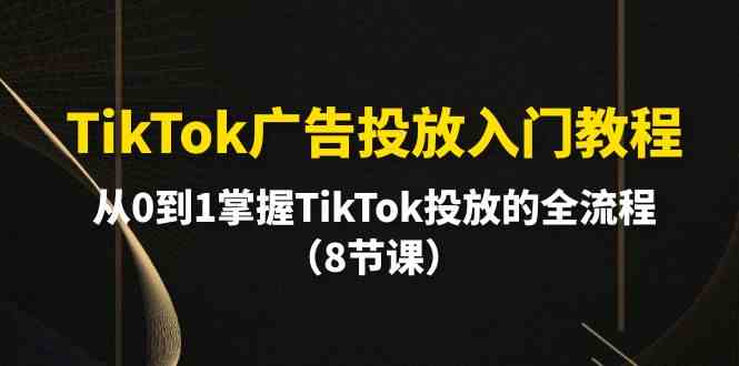 （10085期）手把手教你玩转TikTok广告投放，从零开始搞定全流程（8节课）-安索博客网