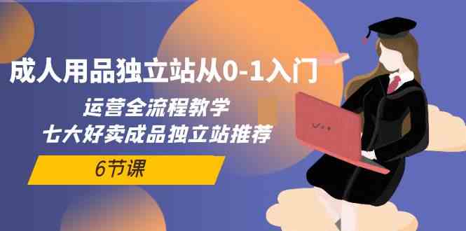 （10082期）成人用品独立站从0到1入门，运营全流程教学，七大好卖成品独立站推荐-6节课-安索博客网