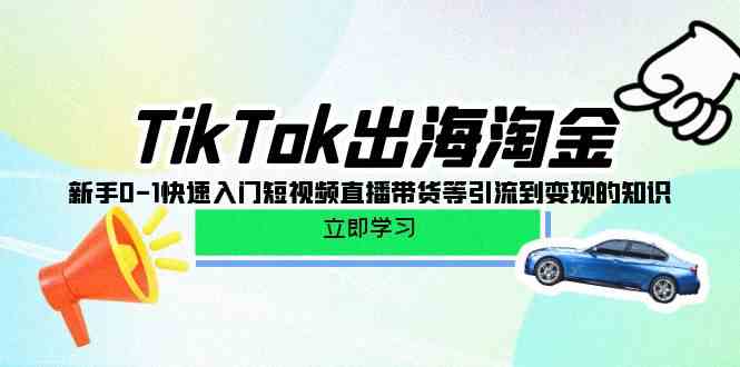 TikTok出海淘金，新手0-1快速上手，短视频直播带货变现全攻略-安索博客网
