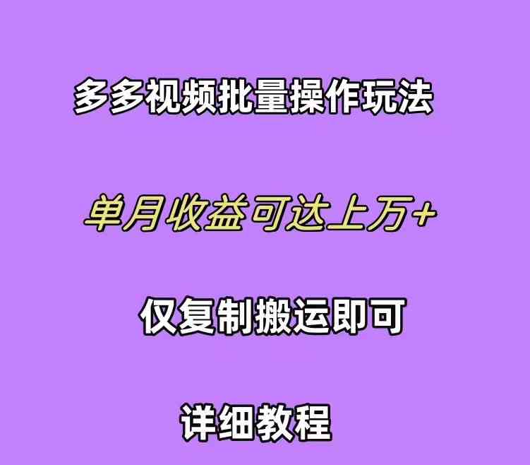（10029期）拼多多视频带货爆款攻略：轻松选品，日赚三位数，小白也能玩转！-安索博客网