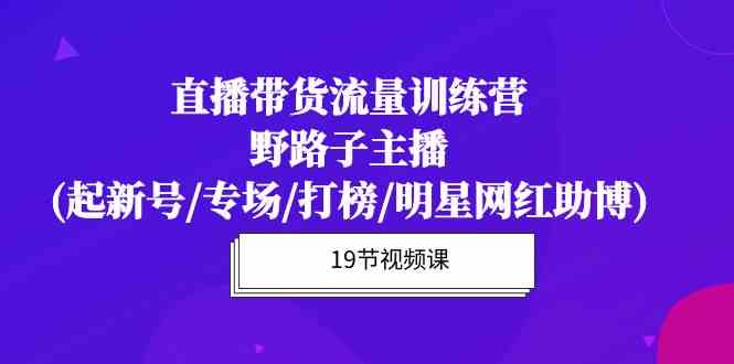 （10016期）直播带货流量特训营，野路子主播（起新号/专场/打榜/明星网红助播）19节课-安索博客网