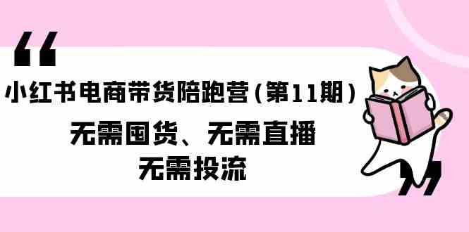 （第9996期）小红书电商带货陪跑营（第11期）不囤货、不直播、不投钱，轻松上手（还送你10套往期教程）-安索博客网